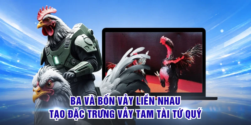 Ba và bốn vảy liền nhau tạo đặc trưng vảy tam tài tứ quý