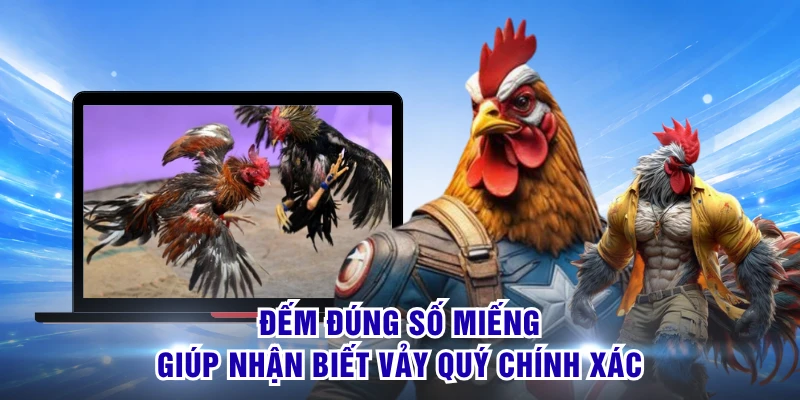 Đếm đúng số miếng giúp nhận biết vảy quý chính xác