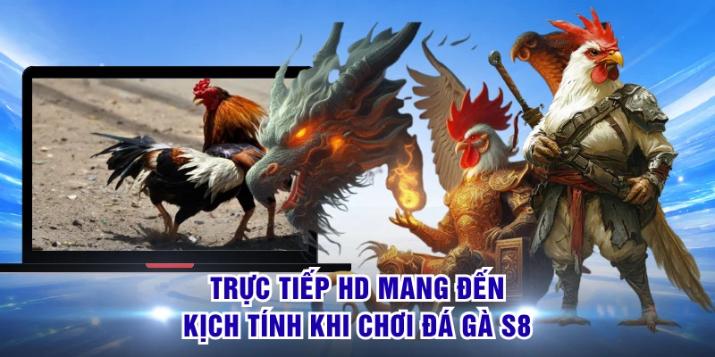 Trực tiếp HD mang đến kịch tính khi chơi đá gà S8